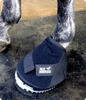 Ice boots for clearance horses